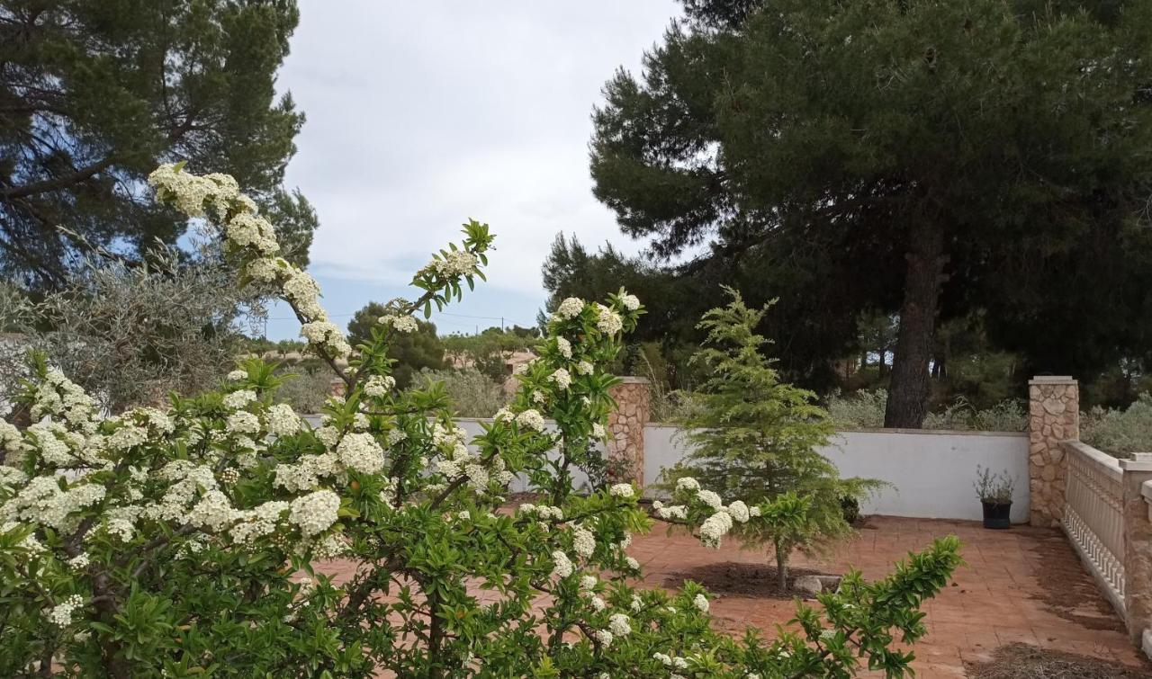 Casa De Pascual Villa Yecla Kültér fotó